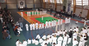 Turniej Seido Karate - zdjcia