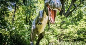 Dinozaury oyy po 65 mln lat!