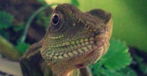 Otwarto nowy sklep zoologiczny
