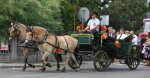 Doynki soeckie w Bronowie - zdjcia