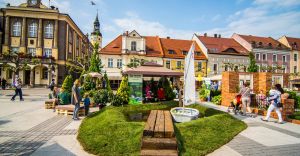 Ogrody Daisy, czyli pszczyski rynek w zieleni i kwiatach - zdjcia