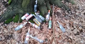 [FOTO] Dzikie wysypiska mieci w lesie i swastyka na drzewie