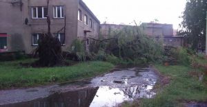 OPS pomoe mieszkacom po sobotniej wichurze