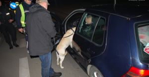 Policjanci sprawdzali trzewo kierowcw pod klubami - zdjcia
