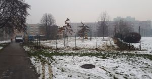 [FOTO] "Patodeweloperka" w parku? Wydzia Urzdu Miejskiego uspokaja