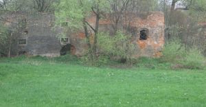 Ratujmy ruiny zamku Wilczkw